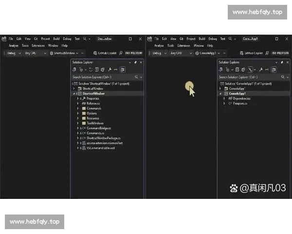 基于Visual Studio 2006的开发环境分析与优化策略探讨 基于Visual Studio 2006的开发环境分析与优化策略探讨